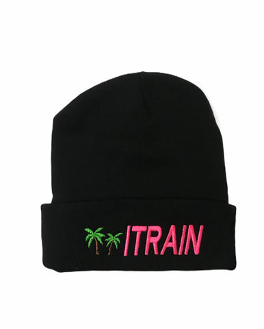 ITRAIN embroidered logo Beanie _ Pink